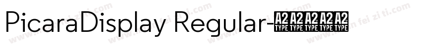 PicaraDisplay Regular字体转换